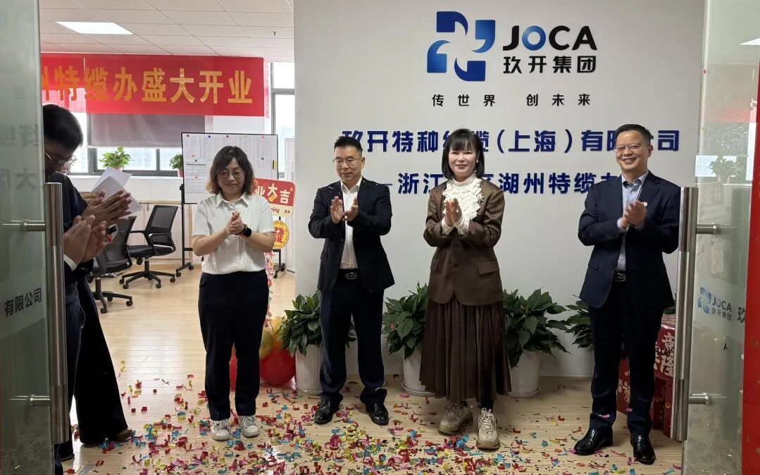 6731顶级游戏特种线缆咸宁特办缆成立